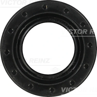 Shaft Seal, differential